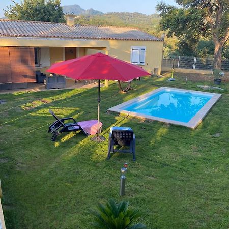 Agreable Rez De Jardin Avec Piscine Et Jacuzzi Lägenhet Cervione Exteriör bild